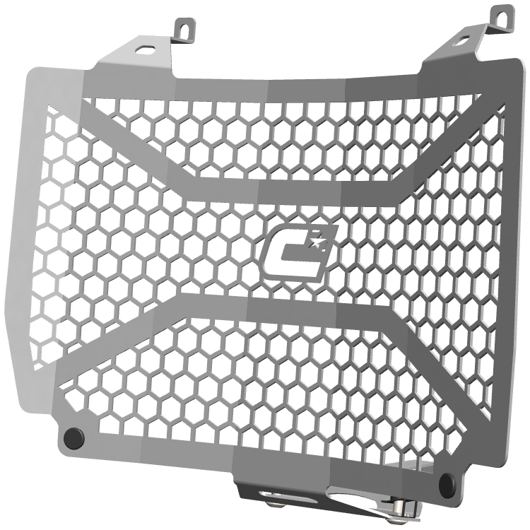 PROTEGE RADIATEUR BMW F900GS NOIR